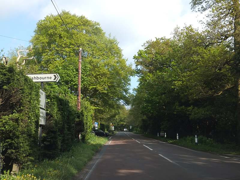 The B2178 Old Broyle Road north of Chichester, a two-lane road lined with trees, with a road sign on the left