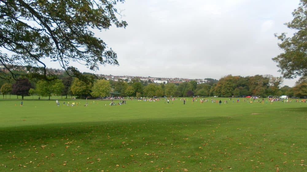 A wide green park with autumn leaves on the grass, trees on either side, small groups of people in the distance and houses on a hillside under a cloudy sky