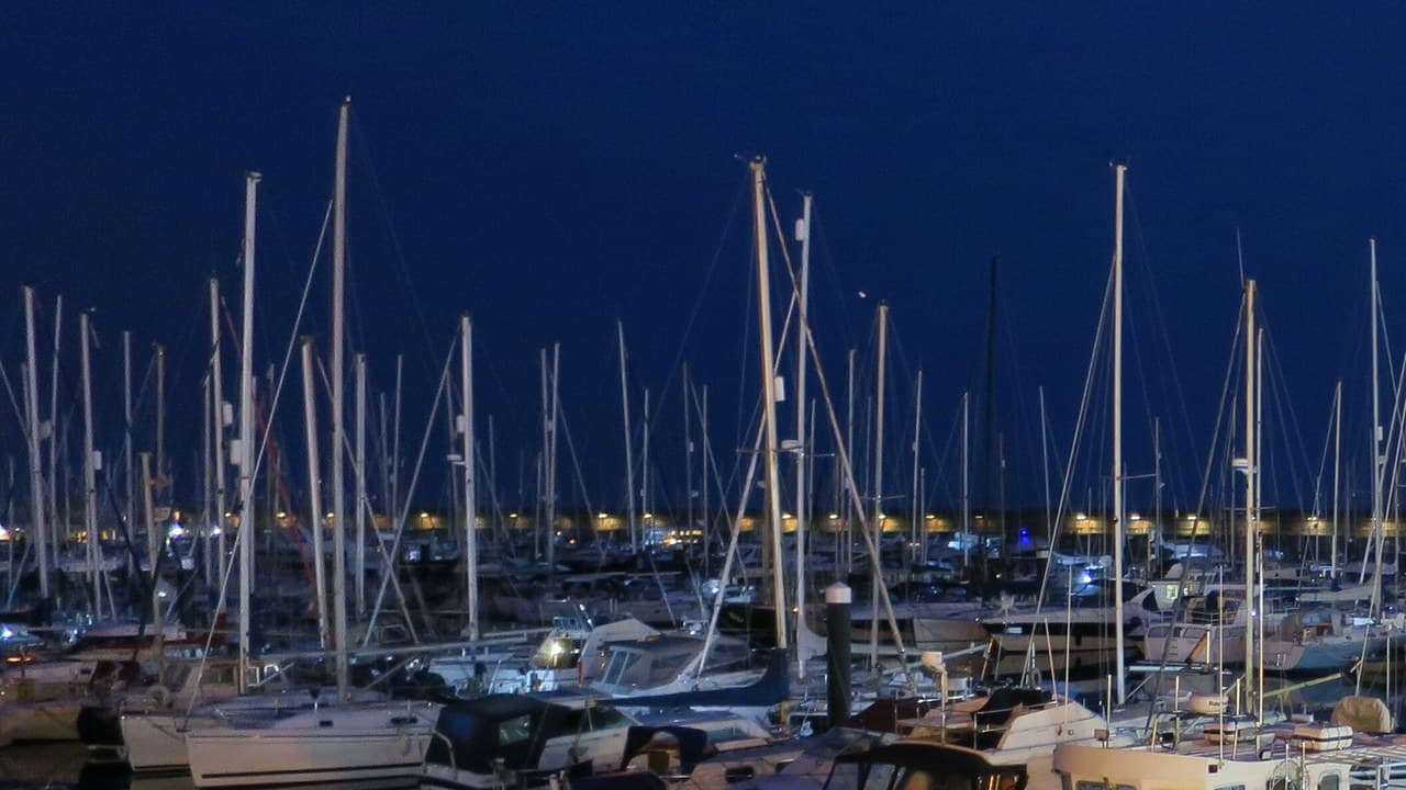 Masts of moored yachts and motor boats in Brighton Marina at dusk, with the lights of the harbour wall behind