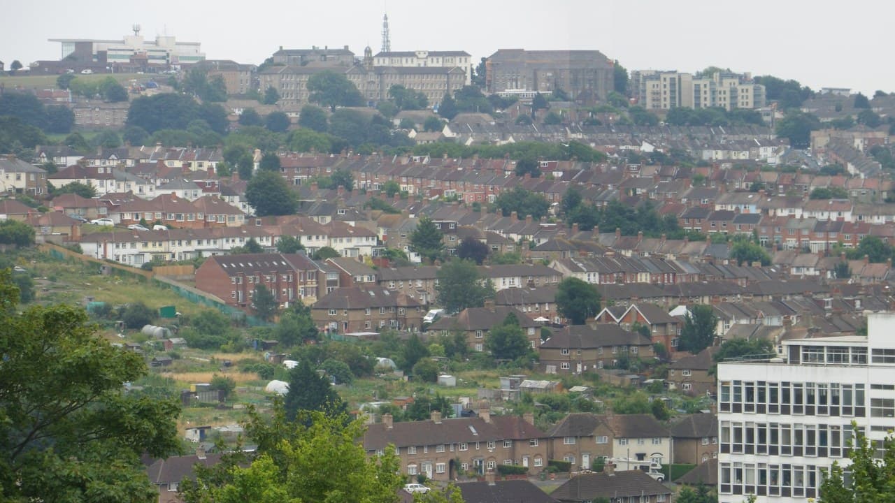 Rows of terraced and semi-detached houses climbing a Brighton hillside, with trees and allotments in front and a hospital building on the skyline