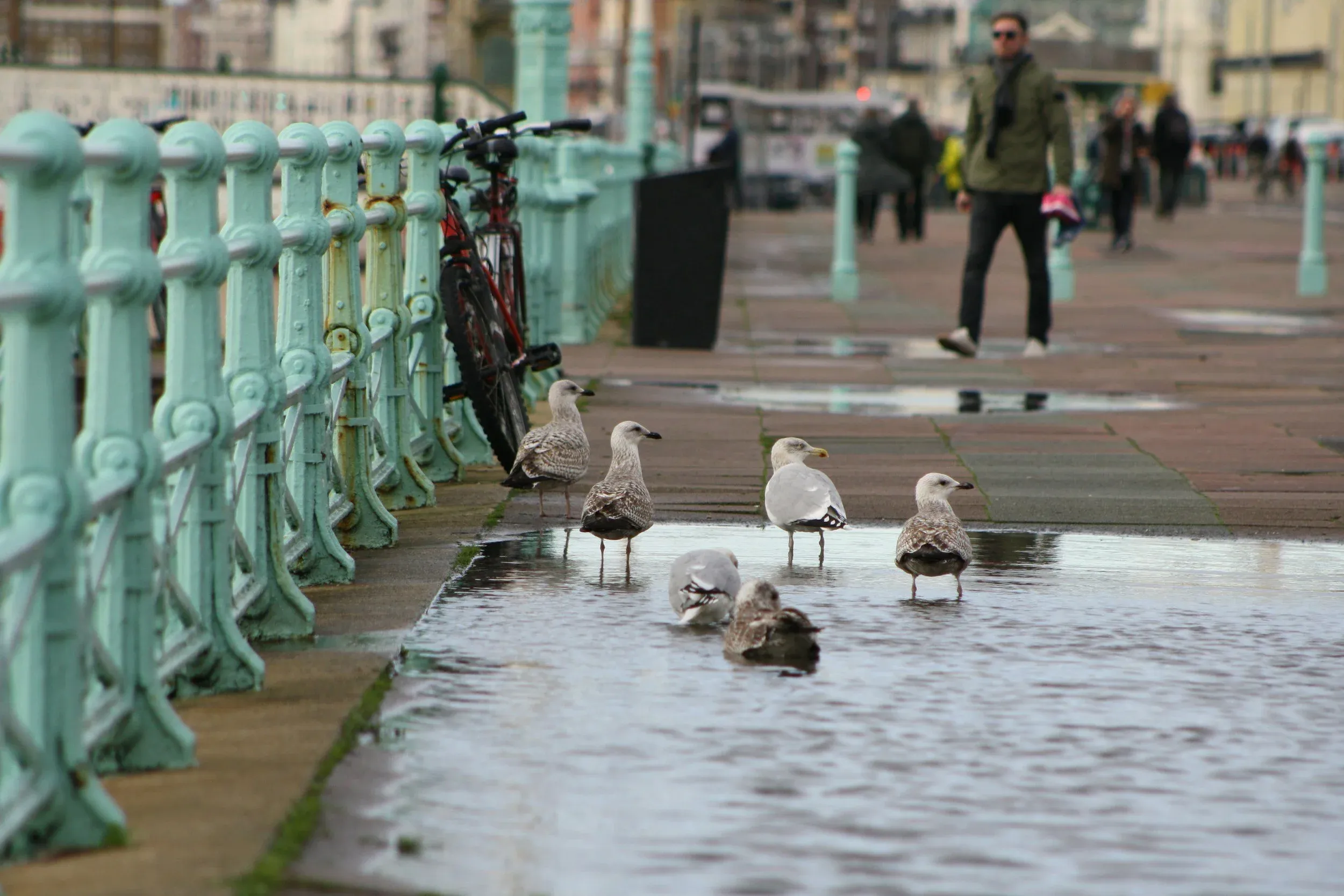 Have your say: council consults on updated flood risk strategy for Brighton and Hove