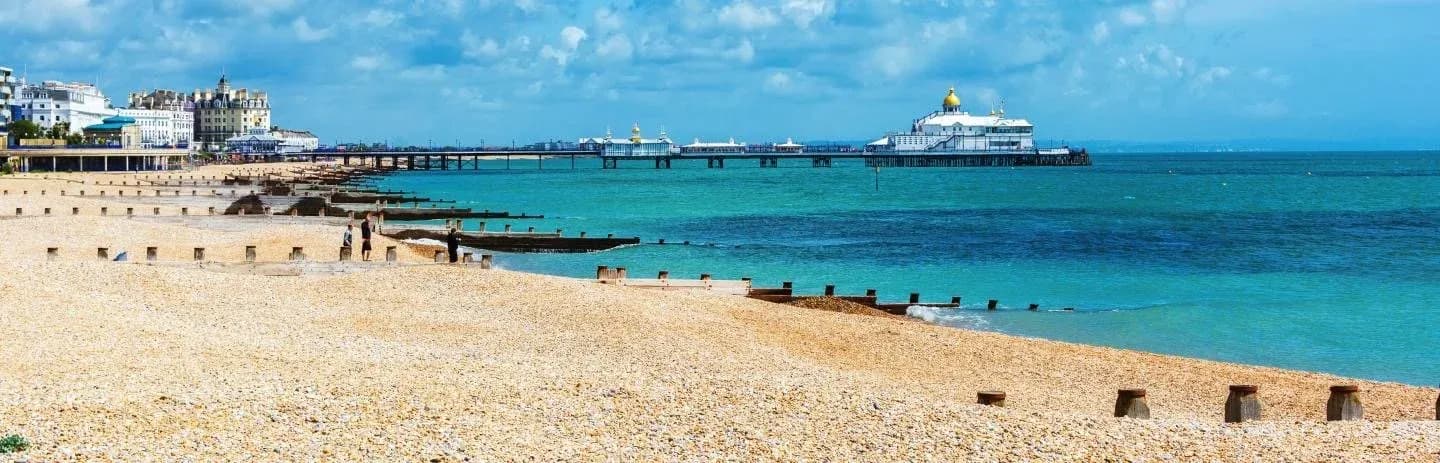£564k secured to explore bus reform across Sussex and Brighton